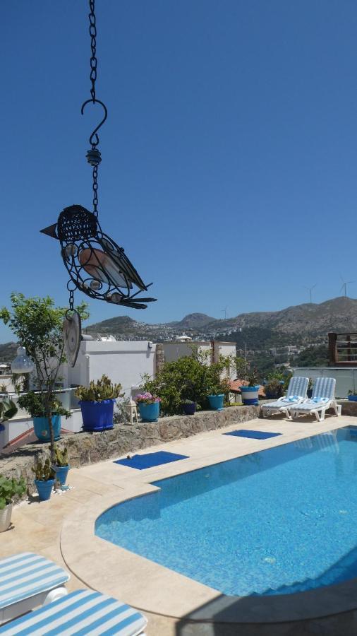 Villa Priene - Gumusluk Private Pool Zewnętrze zdjęcie